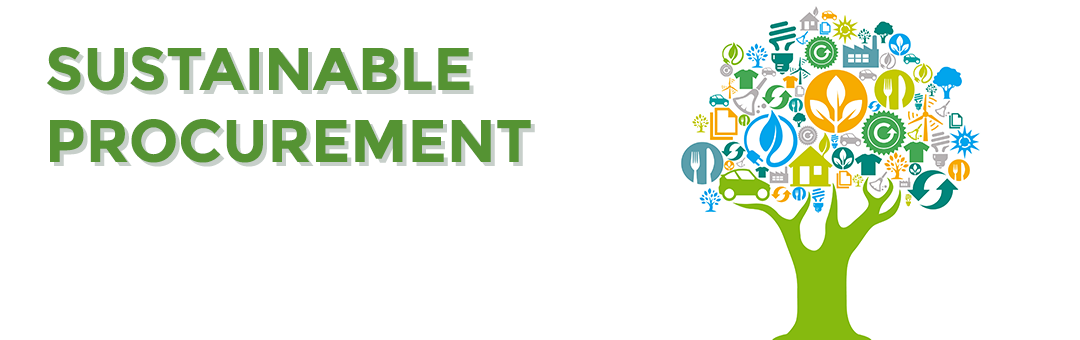 Procurement Integrated Enterprise Environment: Understanding Its Limitations