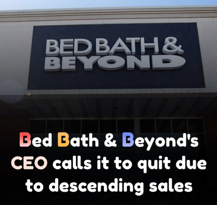 Bed Bath & Beyond: Current Status and What Shoppers Need to Know