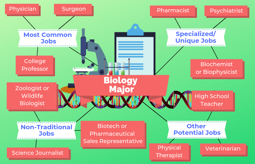 Biological Science Degree Career Paths: Complete Guide to Professional Opportunities